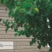 Сайдинг Ю-Пласт TIMBERBLOCK Пихта (Тимберблок) Cахалинская купить в Ижевске