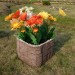 Цветник КАНЬОН купить в Ижевске