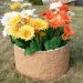 Цветник КАНЬОН купить в Ижевске